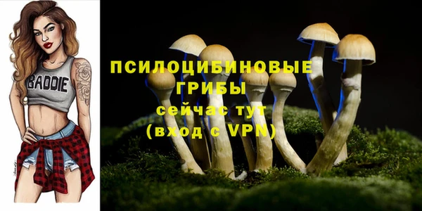 ПСИЛОЦИБИНОВЫЕ ГРИБЫ Балабаново